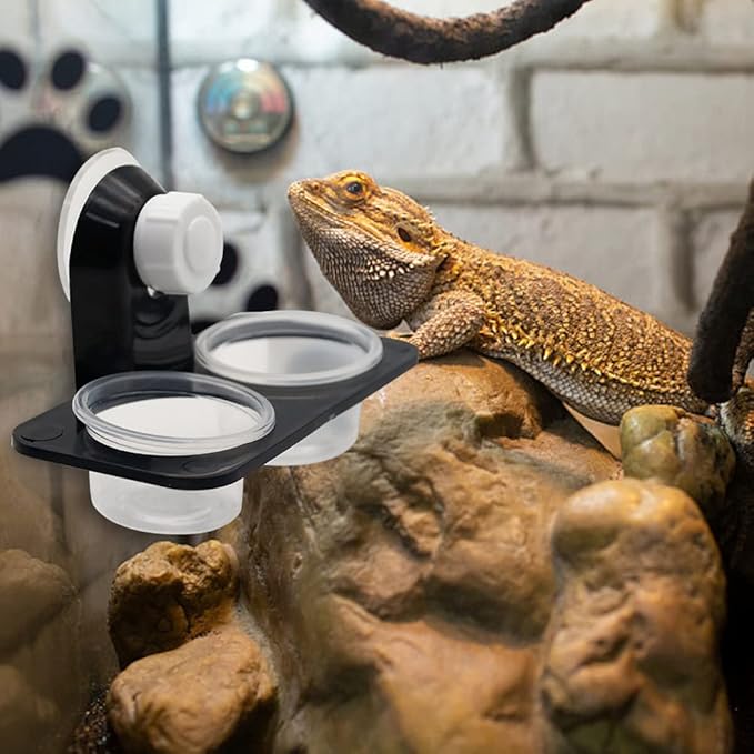 Reptile Feeding Cups Water Bowl Double Crested Gecko Feeding Ledge with 20 Pcs 0.5oz Bowls，Detachable Suction Cup Reptile Feeding Dish Feeder for Lizard Tortoise Reptile Spider Gecko (Double)