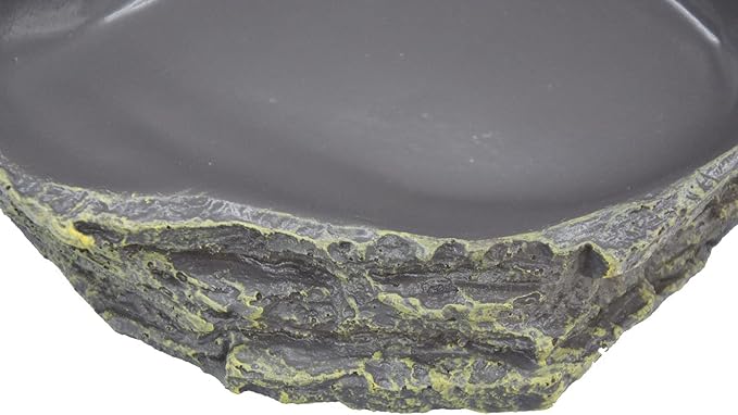 Reptile Bowl Reptile Feeder Terrarium Bowls, Reptile Water and Food Bowls for Lizard Feeding Bearded Dragon Food Dish, Gecko Reptile Water Dish