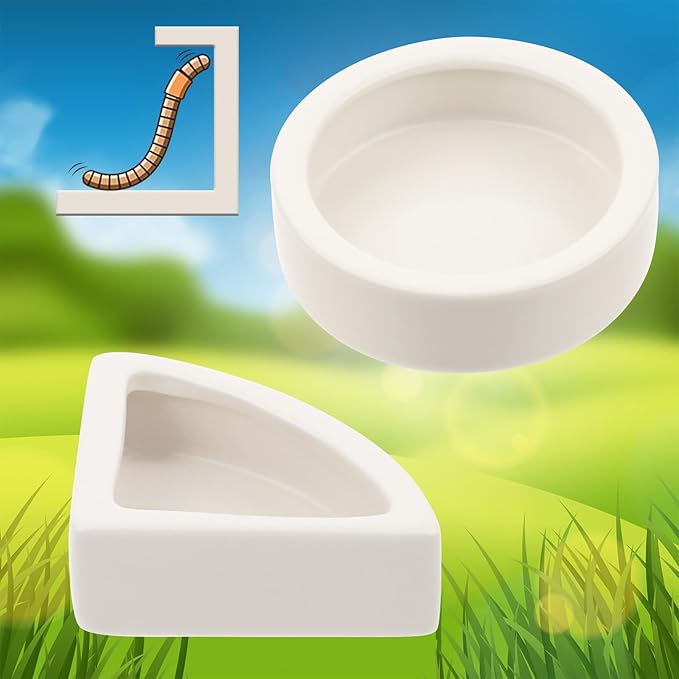 2 Pcs Reptile Water Dish, Bearded Dragon Food Bowl, Ceramic Reptile Dish, Reptile Food Dish Bowl with 2pcs Long Handle Tweezers, Worm Water Dish Feeder for Bearded Dragon, Gecko, Lizard