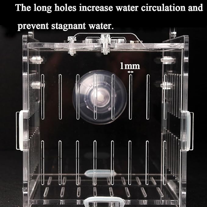 Acrylic Fish Breeding Box Fish Isolation Box Aquarium Divider Hatchery Incubator Breeder Box for Fish Tank Small Fish Shrimp Clownfish (4.5x4.5x4.1inch)