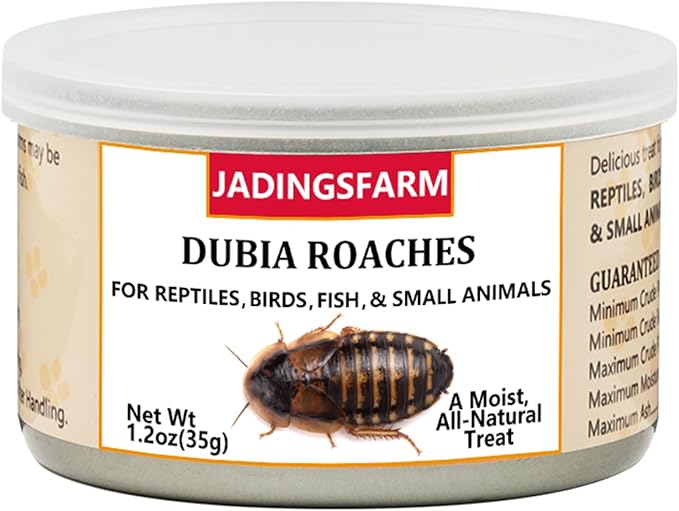 6 Pack Canned Dubia Roaches for Reptiles, Fish, Birds and Small Animals, Dubia Roaches, Healthy High Protein Treat, Reptile Bird Fish Food 1.2 Ounces Each