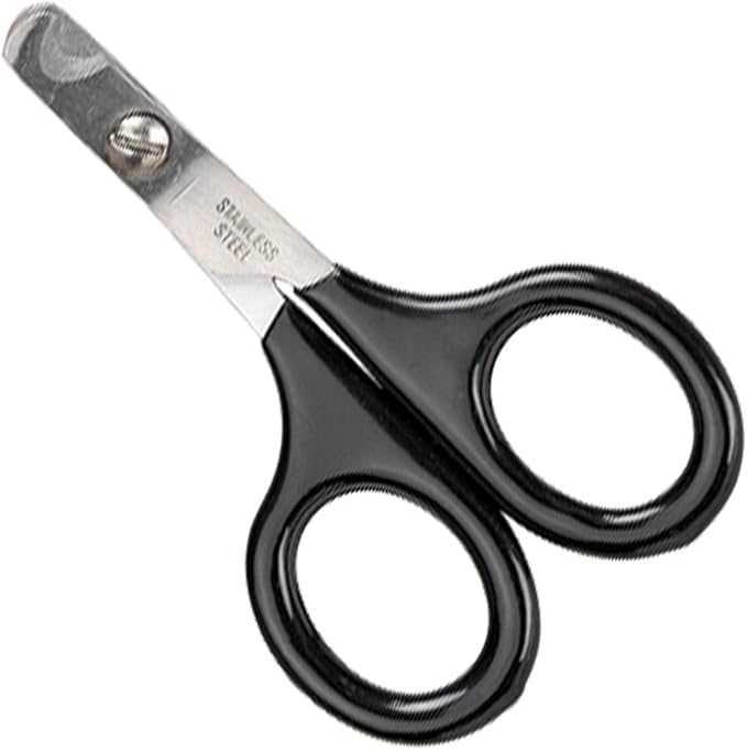 Master Grooming Tools Pet Nail Scissors — Stainless Steel Scissors for Trimming Nails on Cats and Birds - Small, 3½" (Pack of 2)