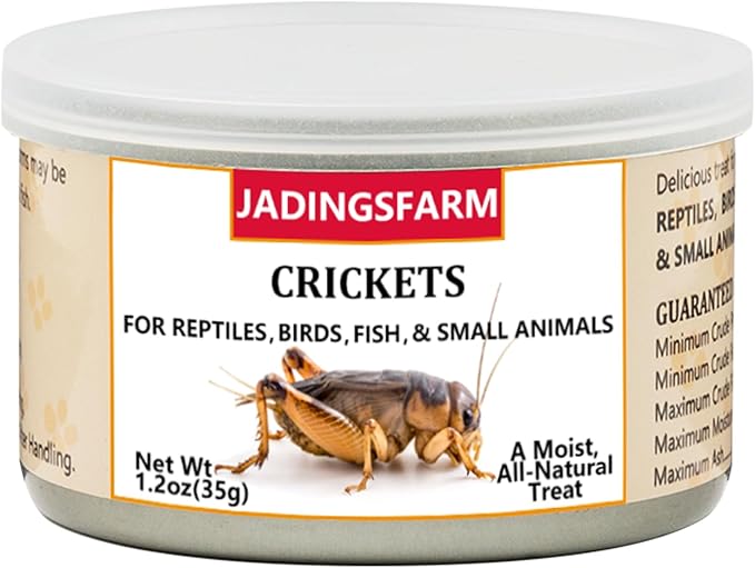 6 Pack Canned Crickets for Reptiles, Fish, Birds and Small Animals, Crickets, Healthy High Protein Treat, Reptile Bird Fish Food 1.2 Ounces Each