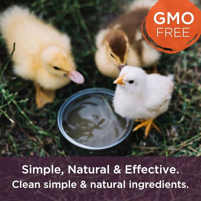 Dr. Connie's Probiotic + Electrolyte for Farm Animals | Supplement to Support A Healthy Gut | Veterinarian Formulated