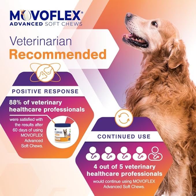 Advanced Joint Support Supplement for Dogs - Hip and Joint Support - Dog Joint Supplement - Hip and Joint Supplement Dogs - 120 Soft Chews for Large Dogs (by Virbac)