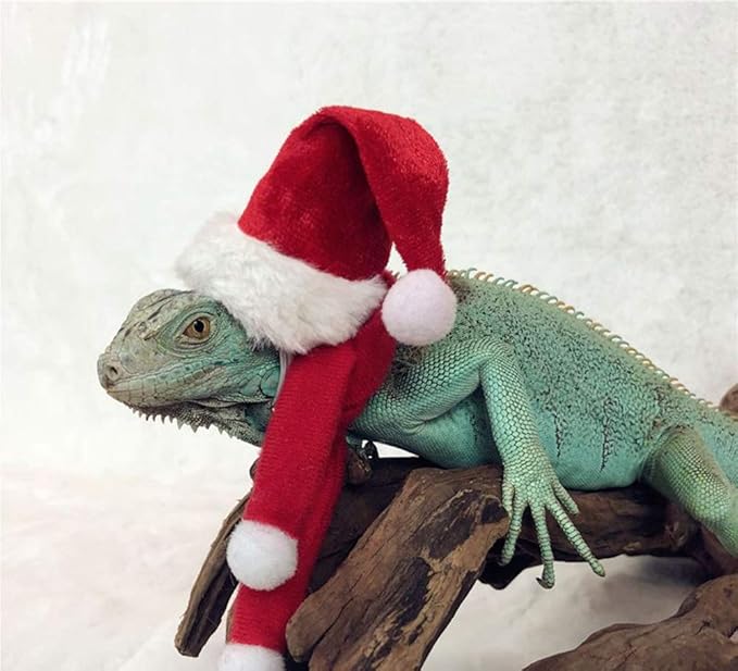 HAICHEN TEC Lizard Clothes for Bearded Dragons Christmas Hat Scarf Set Reptile Apparel Handmade Flannel Clothes