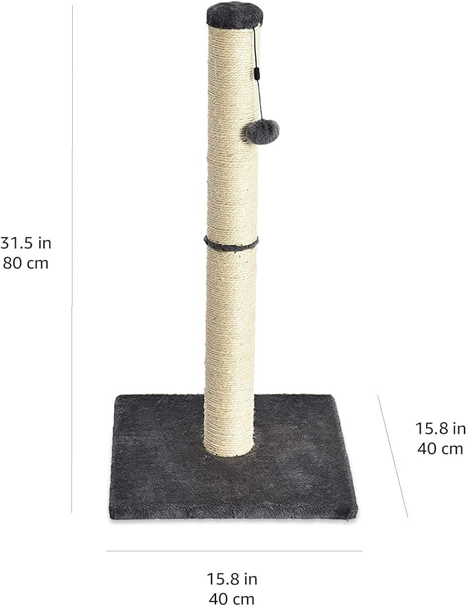 Amazon Basics Cat Scratching Post, Medium, 15.75" x 15.75" x 31.5"H, Grey