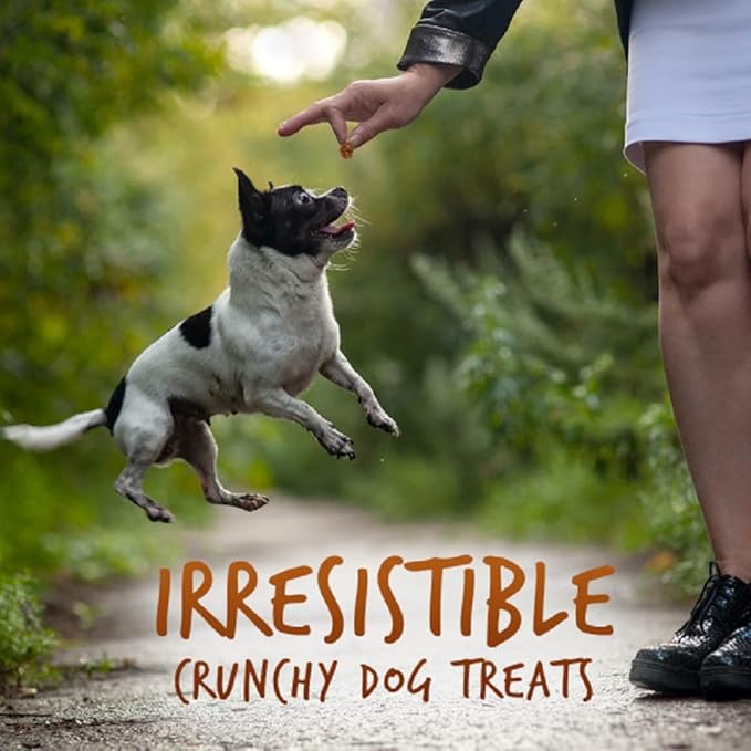 Fruitables Dog Treats Sweet Potato & Pecan Flavor, 7 oz (Pack of 2)