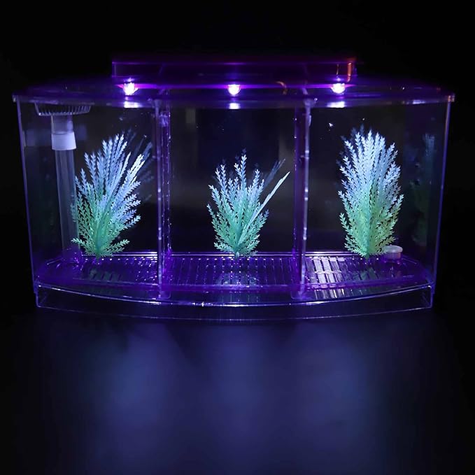 Yctze LED Acrylic Aquarium Fish with Three Divisions Breeding Isolation Box and Kit - Ideal for Small Fish, Betta Fish, Dual and Mini Aquarium Environment ()