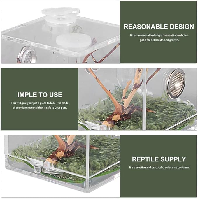 balacoo 4 Sets Jumping Spider Enclosure: Spider Cage Habitat Terrarium Micro Scorpion Droppers Reptile Hide Clear Jumping Enclosure Breeding Box Case with Breeding Tweezers Tank