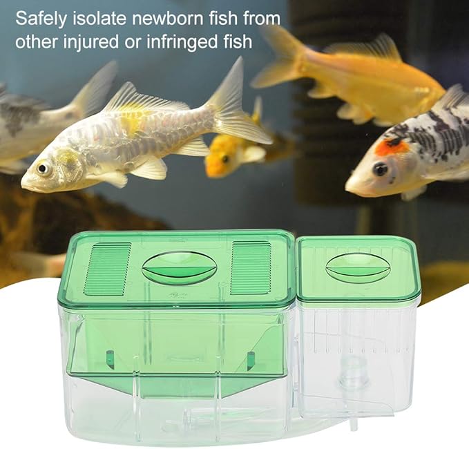 Fish Breeder Box Fish Hatchery Floating Fish Breeding Box with Removable Grating Fish Divider for Agressive Injured Pregnant Fishes