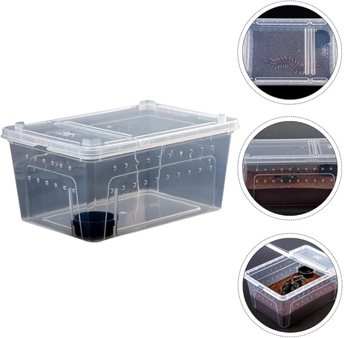 Balacoo 1 Set Acrylic Reptile Feeding Box Box Fish Breeding Case Aquarium Breeding Incubator for Snake Gecko Spider Lizard Centipede