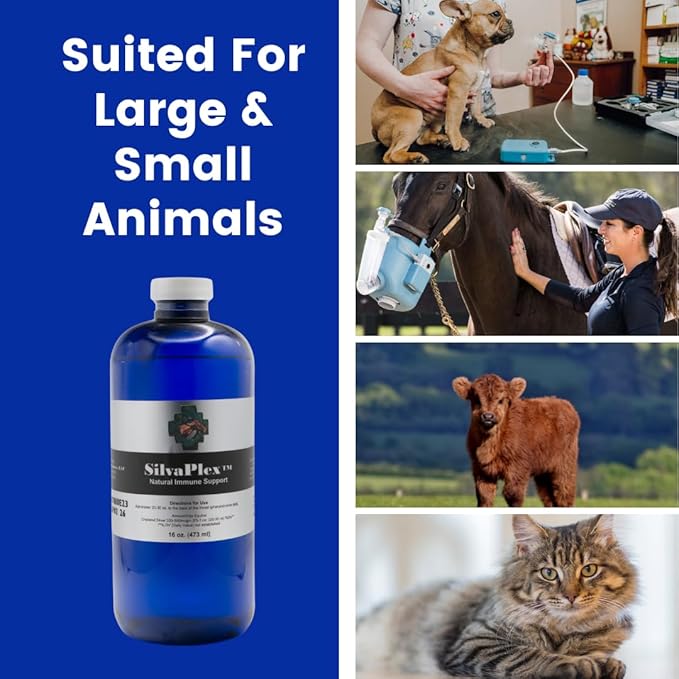 Natural Immune Support Solution for Dogs, Cats, Horses, Small Animals, 100 PPM Chelated Silver 16 oz