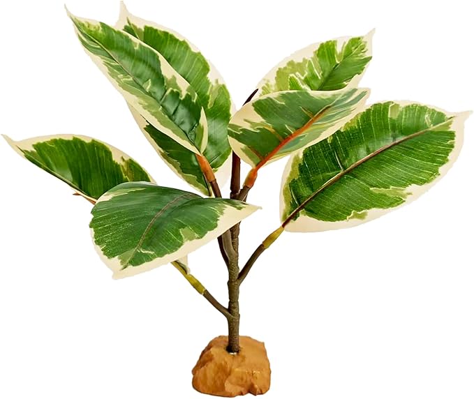Reptile Artificial Plants, Terrarium Decorations Fake Plant with Base, Reptile Amphibian Tank Accessories Habitat Decor Plant - Fake Ficus Microcarpa