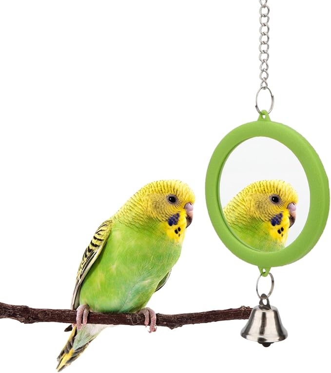 Hypeety Pet Bird Mirror with Bell Interactive Parrot Toy Bird Cage Mirror for Cockatiel Parakeets Canaries Budgie (Green)