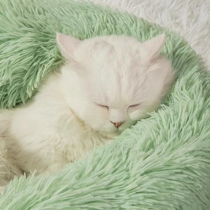Cat Beds for Indoor Cats - Large Cat Bed Washable 24 inches, Dog Bed for Small Medium Dogs, Anti Anxiety Round Fluffy Plush Faux Fur Cat Bed, Thick Bottom Pet Bed