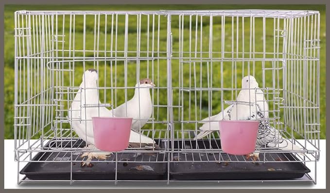 10 Pack Cage Cups Birds Feeders Seed Bowl Chicken Feeding Watering Dish Rabbit Water Food Hanging Wire Cages Box 8oz Coop Cups for Pet Parrot Parakeet Gamefowl Poultry Pigeon (Pink)