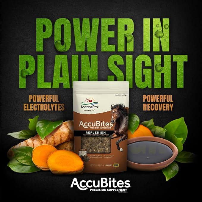 Manna Pro AccuBites Replenish Equine Supplement – Hydration & Immune Support Supplement for Horses – Contains Vitamin E & Turmeric – Turmeric & Molasses Flavored – 1.6 lbs