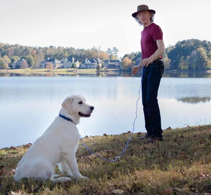 Don Sullivan's Secrets to Training Dogs, System, Perfect Dog Field Cards