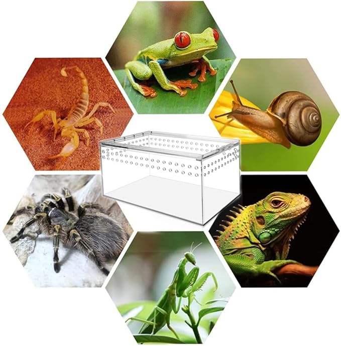 Magnetic Acrylic Reptile Enclosure Transparent terrariums Spiders encolsure Feeding Box,Amphibians pet breeding Vivarium Tank for Turtle,Frogs,Geckos,Mantis,Snakes,Scorpions,etc (Large)