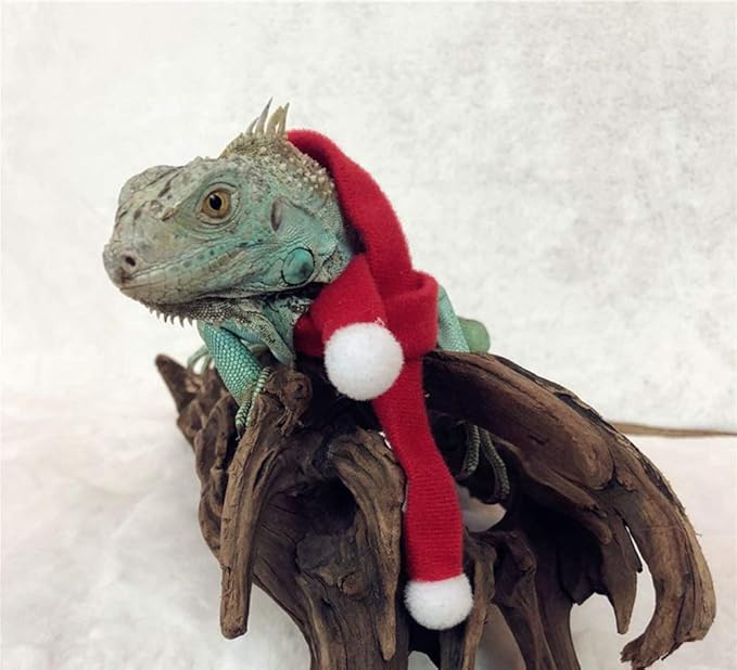 HAICHEN TEC Lizard Clothes for Bearded Dragons Christmas Hat Scarf Set Reptile Apparel Handmade Flannel Clothes