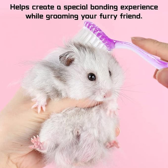 4 Pack Hamster Brush - Small Animal Bath Brush with Lid Soft Cleansing Brush Massage Combs for Hedgehog Guinea Pig Rabbit Chinchilla Ferret Small Animal Grooming Tool Cleaning Supplies-Random Color