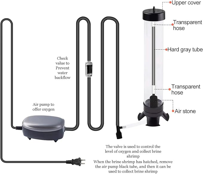 Brine Shrimp Hatchery Kits brine Shrimp Eggs Incubator Hatchery brine Shrimp Eggs Incubator Artemia Hatchery with Silver air Pump