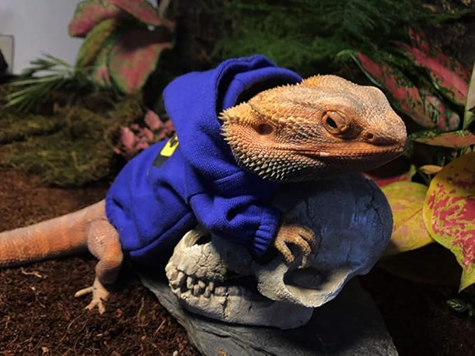 Lizard Clothes for Bearded Dragons Reptile Apparel Handmade Cotton Material Hoodies Sweater for Skin Protection Photo Party for Crested Gecko Chameleon