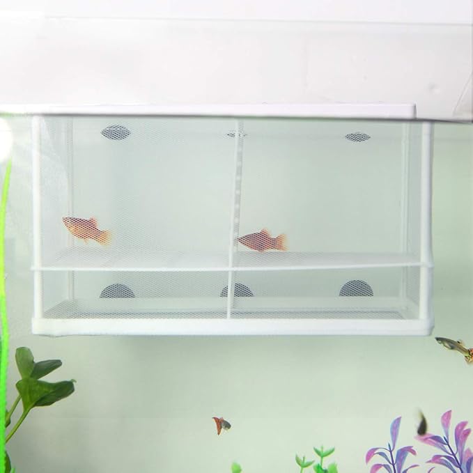 Senzeal Aquarium Fish Breeder Box Fish Fry Hatchery Incubator Net Nylon Isolation Mesh with 3pcs Pipette (Large)