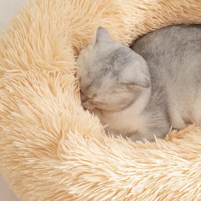 Cat Beds for Indoor Cats - Cat Bed Washable 20/24 inches, Dog Beds for Small Medium Dogs, Anti Anxiety Round Fluffy Plush Faux Fur Cat Bed, Thick Bottom (Medium, Tan)
