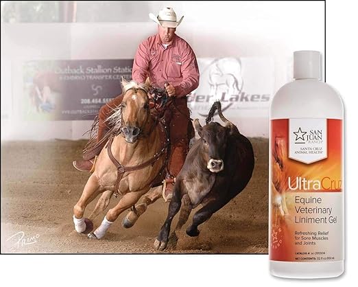 UltraCruz Veterinary Liniment Gel for Horses, 32 oz