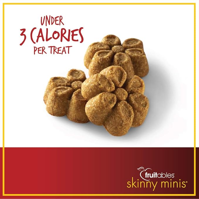 Fruitables Skinny Mini Dog Treats | Healthy Treats for Dogs | Low Calorie Training Treats | Free of Wheat, Corn and Soy | Pumpkin Spice | 5 Ounces