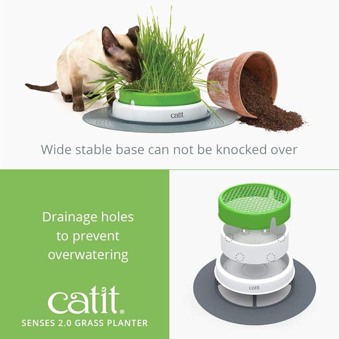 Catit Senses 2.0 Grass Planter & Catit Senses 2.0 Cat Grass Kit (Set of 3)