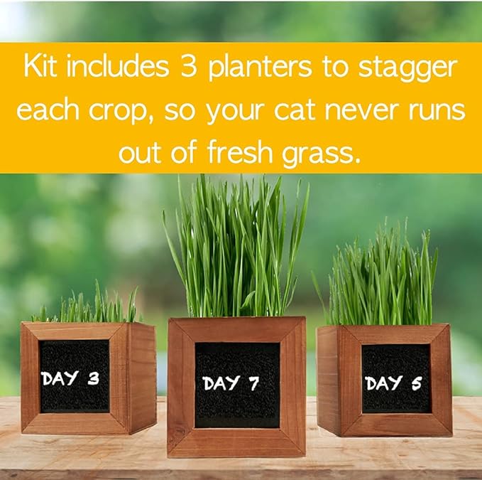 Organic Indoor Cat Grass Kit - 3 Wooden Planters, Certified Seeds, and Premium Soil for Happy Cats. Delight Your Feline Friends with The Ultimate Cat Grass Experience! Ideal Gift for Cat Lovers.