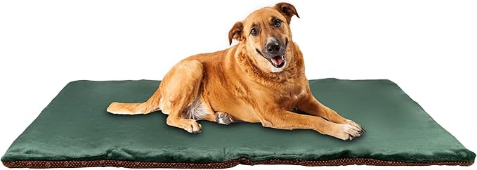 Dog Mat - 27.5 x 39.3 in Fluffy Padded Dog Blanket w/Insulation - Non Slip Kennel Mats for Sleeping - Machine Washable Bed for Dogs - Green