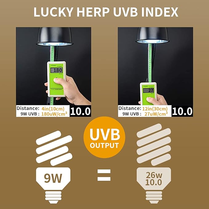 LUCKY HERP Mini UVA UVB Reptile Light 10.0 9W, UVB Bulb for All Desert Dwelling Reptiles, Compact Fluorescent Reptile UVB Bulb for Turtle, Bearded Dragon, Lizard, Gecko etc.