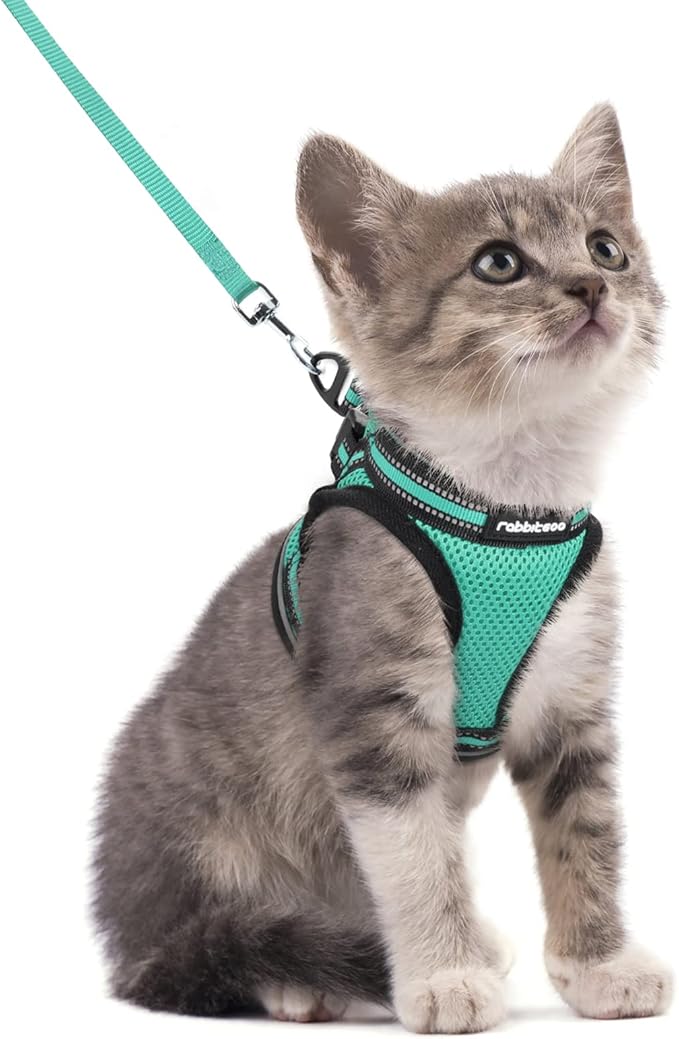 rabbitgoo Cat Harness and Leash Set for Walking Escape Proof, Adjustable Soft Kittens Vest with Reflective Strip for Cats, Comfortable Outdoor Vest,Green,S