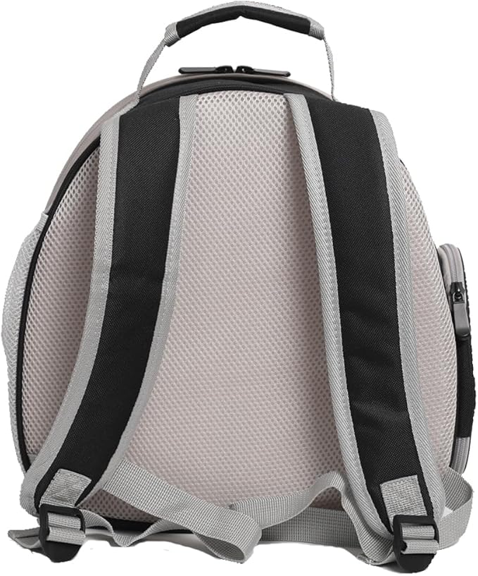 Guinea Pig Carrier,Guinea Pig Carrier for 2,Reptile Travel Carrier for Lizards Sugar Glider Hedgehog Rat Parrot Birds (Black, Backpack)