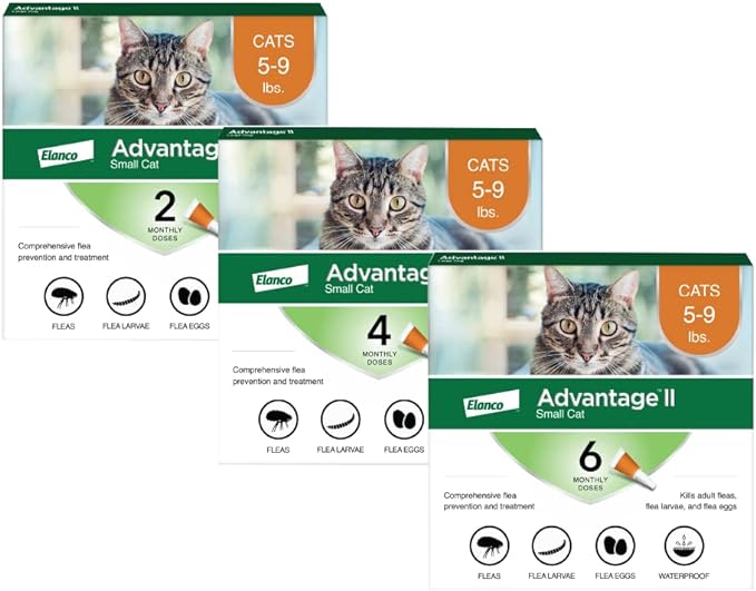 Advantage II Small Cat Vet-Recommended Flea Treatment & Prevention | Cats 5-9 lbs. | 12-Month Supply