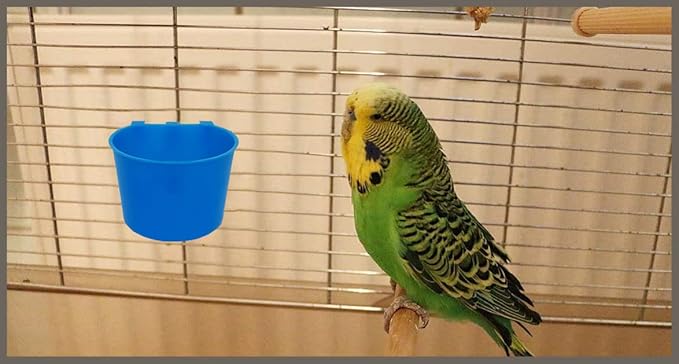 40 Pack Cage Cups Birds Feeders Seed Bowl Chicken Feeding Watering Dish Rabbit Water Food Hanging Wire Cages Box 8oz Coop Cups for Pet Parrot Parakeet Gamefowl Poultry Pigeon (Blue)