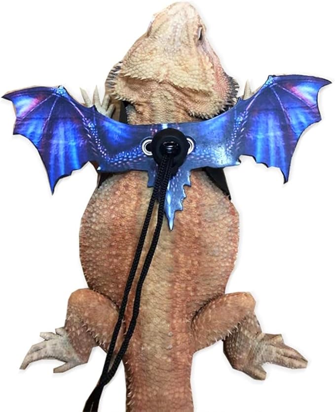Bearded Dragon Leash, Adjustable Portable Reptile Leash with Cool Wings for Gecko, Bearded Dragon, Chameleon, Iguana, Hamster, Guinea Pig (S+M+L)