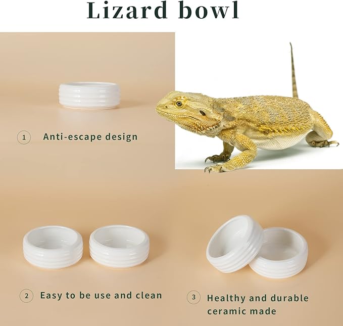 Reptile Food Bowls Ceramic Round Reptile Water Food Dish, Pet Food Bowl for Lizards, Small Snakes, Young Bearded Dragons, Gecko Tortoise Spider (White, Small-2Pack)