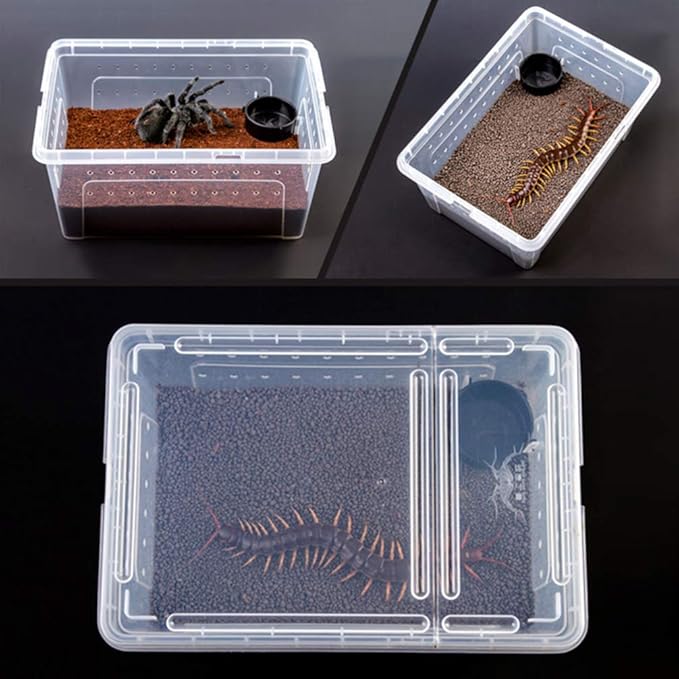 Balacoo 1 Set Acrylic Reptile Feeding Box Box Fish Breeding Case Aquarium Breeding Incubator for Snake Gecko Spider Lizard Centipede