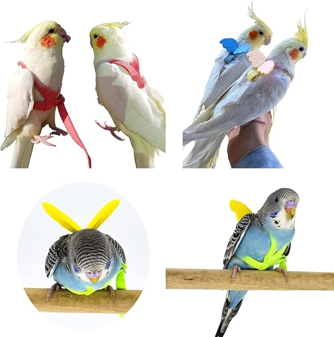 Birds Adjustable Harness and Leash, Parrot Outdoor Flying Training Traction Rope Straps with Cute Wing for Small Animal Birds, Parrots, Pigeons, Lizard, Turtles (XS,Pink)