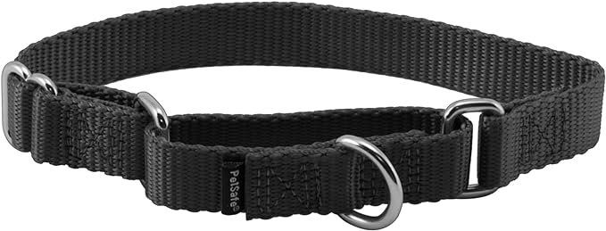 PetSafe Martingale Dog Collar – Small, 3/4 Inch, Black