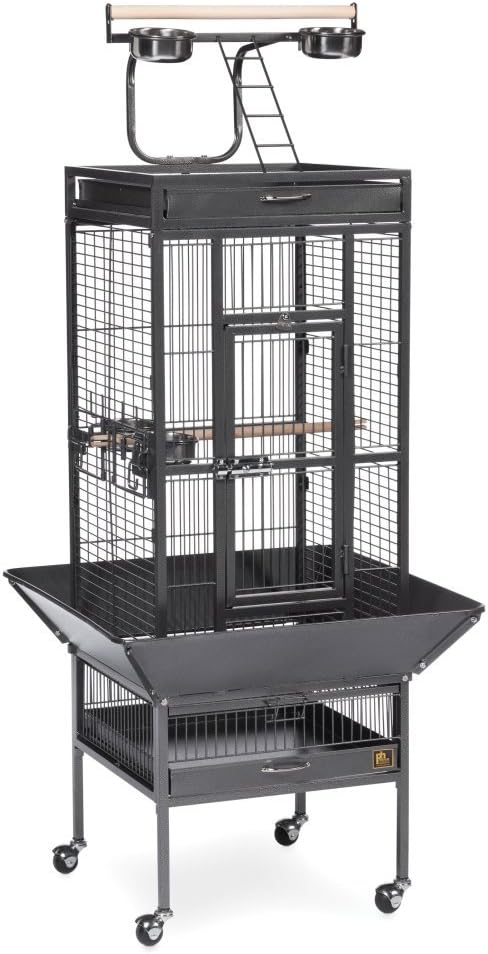 Prevue Pet Products Wrought Iron Select Bird Cage Black Hammertone 3151BLK