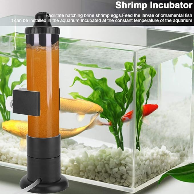 Brine Shrimp Hatchery, Brine Shrimp Eggs Incubator, Hatchery Artemia Eggs Hatchery Kit, Fish Tank Hatch Tool for Aquarium Brine Shrimp Eggs, Brine Shrimp Eggs Hatcher, 380ML