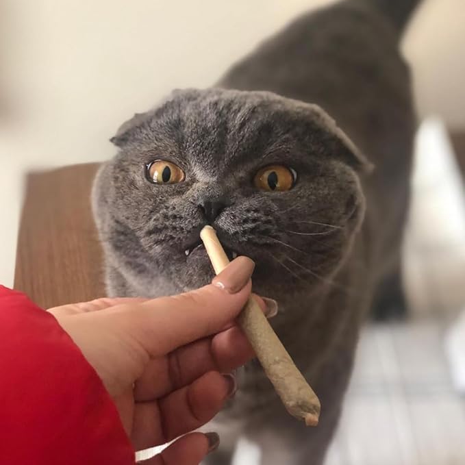 Meowijuana | King Size Catnip Joints | Organic | Dried Premium Ground Catnip | High Potency | Grown in The USA | Feline and Cat Lover Approved