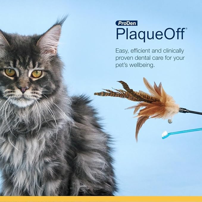 Plaque Off for Cats 40g - Special Feline Formulation