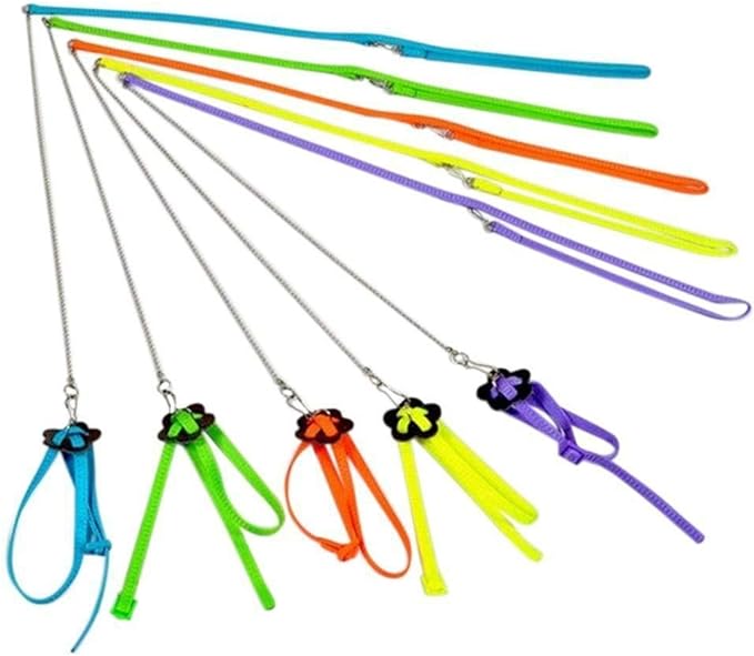 Bonaweite 2 Pack Adjustable Harness Leash, Pet Birds Nylon Anti-bite Training Hraness Outside Walk for Parrot African Grey Cockatoo Macaw Ringneck Parakeet Cockatiel Reptile Lizar